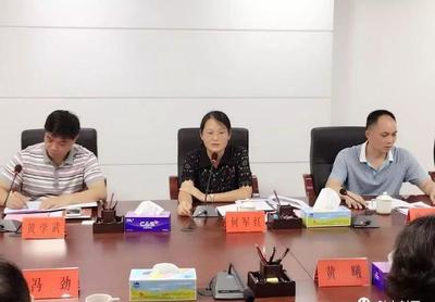 發(fā)揮嶺南旅游優(yōu)勢，共筑封開旅游新篇章——嶺南集團(tuán)調(diào)研封開旅游開發(fā)項(xiàng)目